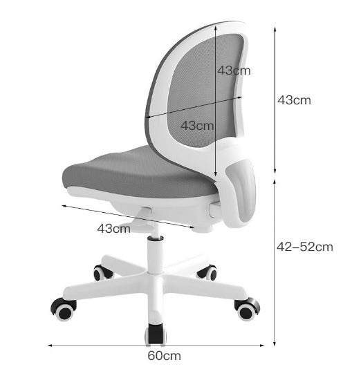 [C10] Ergonomic Office Chair