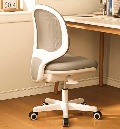 [C10] Ergonomic Office Chair