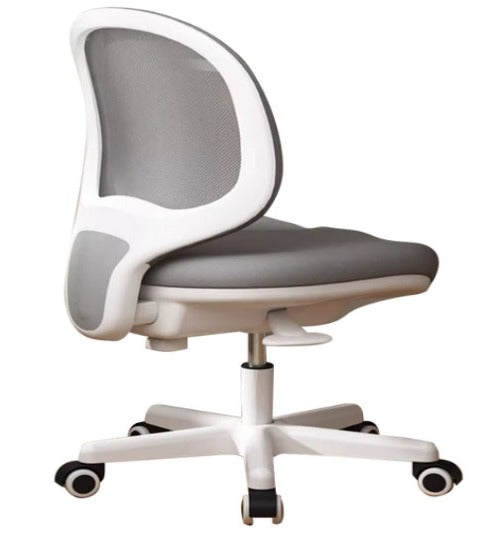 [C10] Ergonomic Office Chair