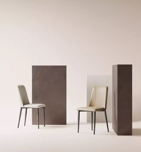 [C20] Minimalist Modern Simple Designer Dining Chair