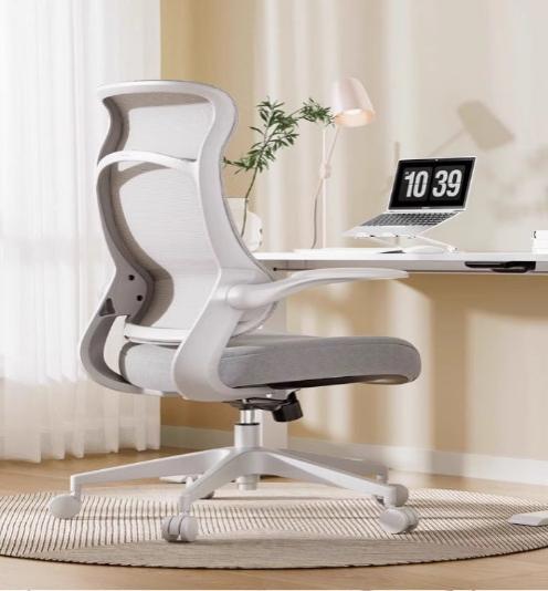 [C38] Ergonomic Office Chair with Lumbar Support