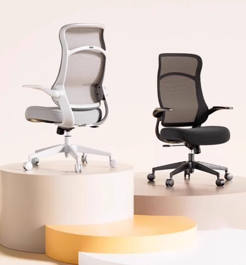 [C38] Ergonomic Office Chair with Lumbar Support