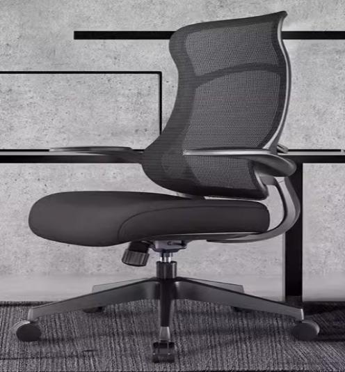 [C38] Ergonomic Office Chair with Lumbar Support