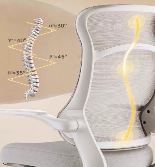 [C38] Ergonomic Office Chair with Lumbar Support