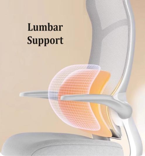 [C38] Ergonomic Office Chair with Lumbar Support