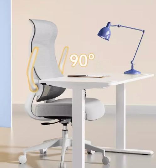 [C38] Ergonomic Office Chair with Lumbar Support